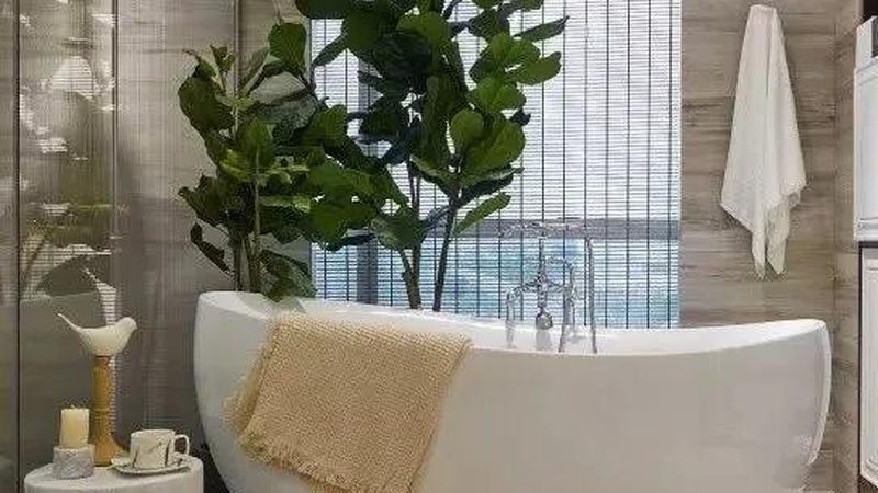 卫浴洁具材质选对坑距，旧房改造不再难
